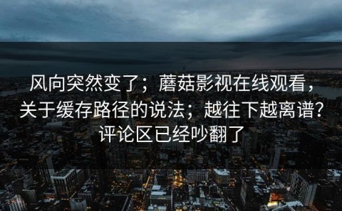 风向突然变了；蘑菇影视在线观看，关于缓存路径的说法；越往下越离谱？评论区已经吵翻了